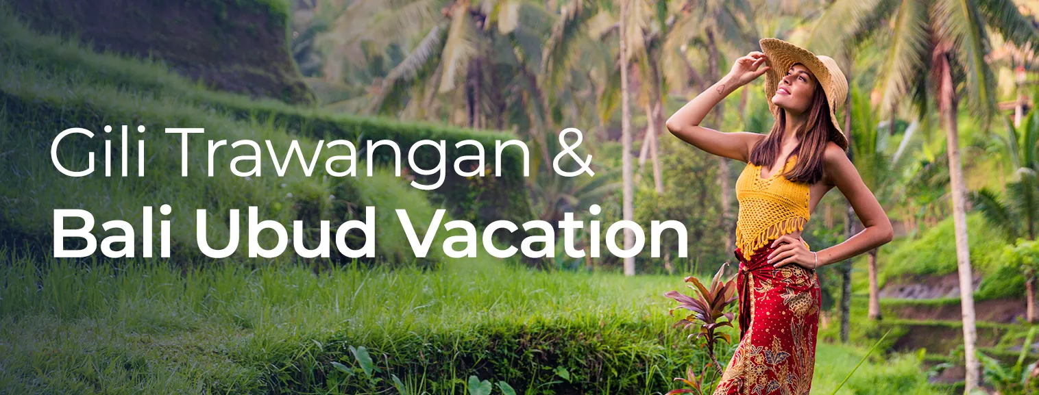 vaction banner